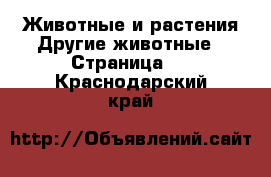 Животные и растения Другие животные - Страница 4 . Краснодарский край